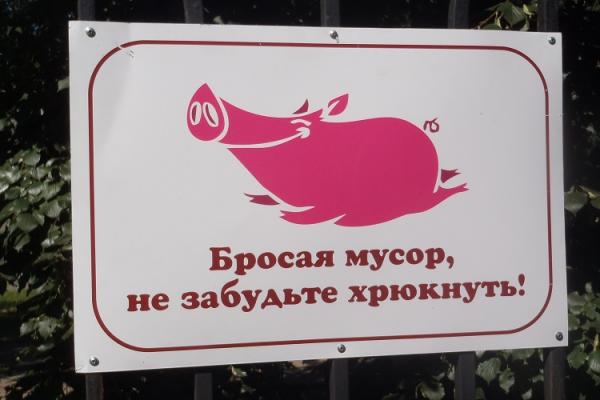 Эксперты назвали две самые грязные трассы Подмосковья
